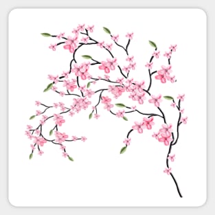 Cherry Blossom Sticker